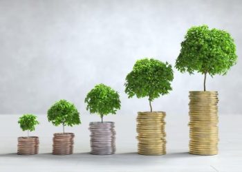 Cara Aman Membuat Uang Berkembang: Investasikan Pendapatan Anda