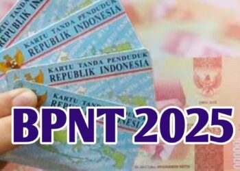 Panduan Lengkap DTSEN 2025: Syarat, Daftar, Cek Bansos Aktif