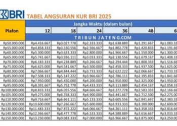 Tabel KUR BRI 2025: Pinjaman 100 Juta, Cicilan Mulai Rp 1 Juta