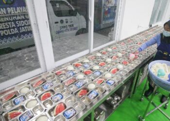 MBG Tetap Buka Saat Libur Sekolah: Penjelasan BGN