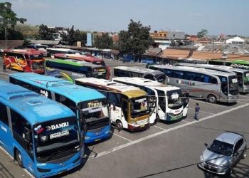 Menarik, Ini Tiga PO Bus AKAP yang Tawarkan Promo Tiket Nataru 2025/2026