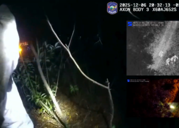 Drone Hunts Down Fleeing Crash Suspect