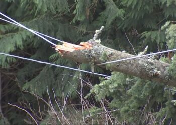 Statewide Blackouts Persist