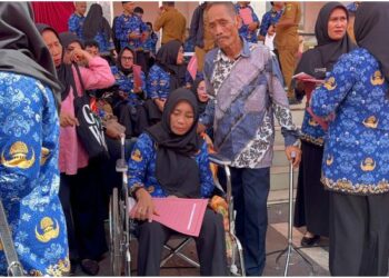 Bupati Bulukumba Geram: PPPK Paruh Waktu Berlebihan Usai Terima SK