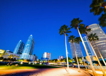 Pinellas County Bolsters Animal Welfare for Stronger Oversight and Public Safety