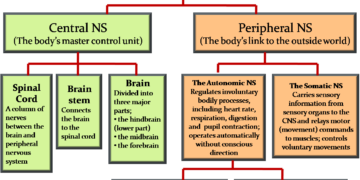 PNS nowadays can’t just be ordinary; this is the digital work ethic that must be inherent!