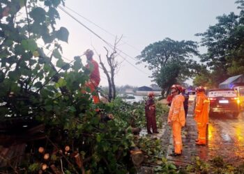 BMKG peringatkan potensi cuaca ekstrem di Jatim 10 hari ke depan, ini wilayahnya