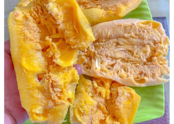 Kuliner khas Kalimantan Tengah mandai berbahan kulit cempedak, musiman dijual di Palangka Raya