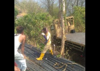 Pickup Terjun ke Irigasi Karawang, Sopir Purwakarta Tewas Akibat Tabrak Pembatas