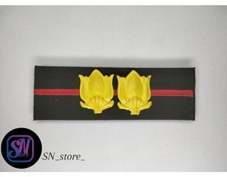 Putra Sulsel: 18 Kolonel TNI AD Naik Pangkat Brigjen