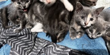 Friend’s Question Unearths Hidden Heartbreak