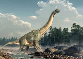 Cara Dinosaurus Mengasuh: Transformasi Ekosistem Bumi Purba
