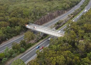Cawleys Bridge: Wildlife Reconnected Above Motorway