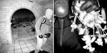 Glove Near Guthrie’s Home Ties to Door Cam Suspect