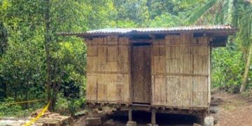 Kemiskinan Nenek Wilhelmina: Bukti Keraguan Data BPS