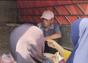 Harga Pangan Murah Ramadan Mamuju Tengah: Telur Rp50 Ribu/Rak