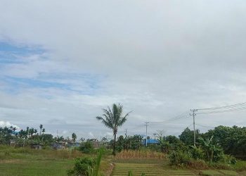 BMKG: Hujan Ringan Mimika, Waspada Perubahan Cuaca Mendadak