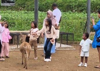 Obim Villa Kuningan: Staycation Seru dengan Kolam Renang & Mini Zoo