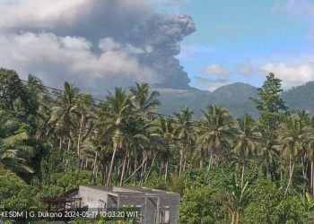Erupsi Gunung Dukono 6 April 2026: Abu Tebal Mengarah ke Barat, Kolom Abunya Capai 1.000 Meter