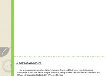 Jadi Perhatian Publik, Ini Fakta Sebenarnya yang Harus Anda Ketahui