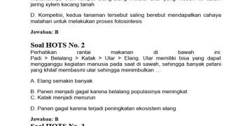 Ringkasan dan Soal HOTS Sejarah Kelas 11 SMA Bab 3: Masa Penjajahan Jepang
