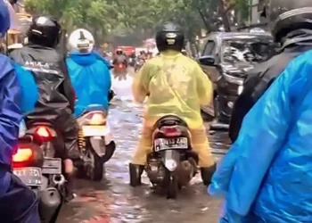 Banjir Pergoyang Kabupaten Bandung, Ahli Kritik Kegagalan Pengelolaan, Minta Bentuk Lembaga Khusus DAS Citarum