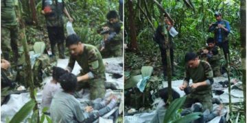 4 Hari Hilang di Hutan, Indo Rampa Ditemukan Selamat