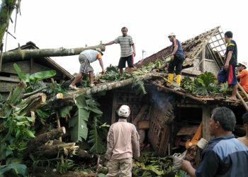 Angin Kencang Diprediksi Ganggu Aktivitas Warga, Ini Peringatan dan Pencegahan yang Harus Diketahui