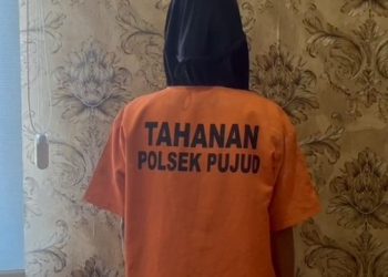 Apa yang Membuat Ibu Tiri Viral di Media Sosial?