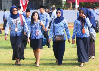 PNS dan PPPK, Perhatikan Pengumuman Penting dari BKN!