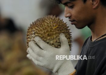 Rahasia Durian Indonesia Menggila di Pasar China Rp137 Triliun