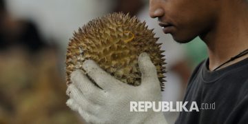Rahasia Durian Indonesia Menggila di Pasar China Rp137 Triliun