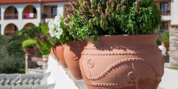 7 tanda wajib ganti pot tanaman, jangan diabaikan