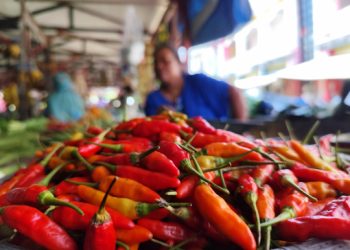 Harga Cabai dan Ayam Naik, Pemprov Kalteng: Dampak Lebaran