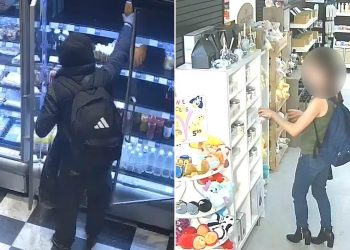 Labour’s Plan to Spare Shoplifters from Jail Sparks Store Chaos Fears