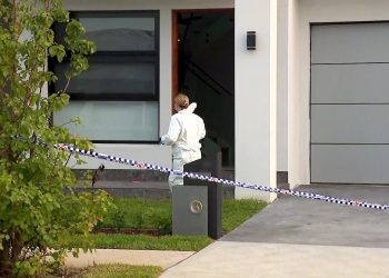 Cage Fighter’s Backyard Spar Turned Tragic, Jury Hears