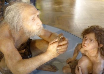 New research reveals Neanderthals may have consumed outsiders, not their own group