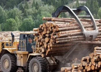 Deforestasi Indonesia Melonjak, Data Disengketakan