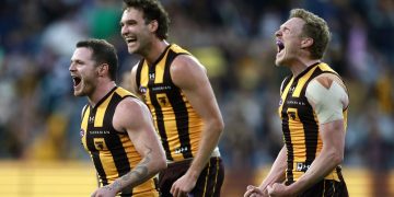 Hawks Eager to Reclaim Cats