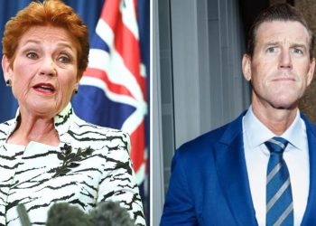 Elon Musk’s Three-Word Take on BRS