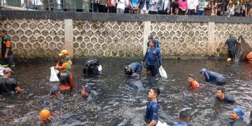 Cara Kreatif RW 06 Jakut Menangkap Ikan Sapu-sapu, Bayaran Rp5.000 per Kg