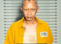 Kisah Hidup Tokek Karakter Aming di Ghost in the Cell yang Menyentuh Hati