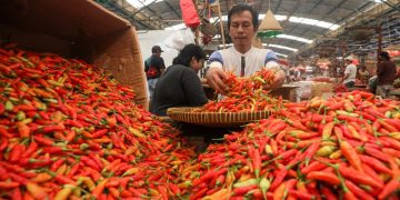 Harga Pangan Cirebon Pekan Ketiga April: Cabai Makin Pedas, Beras Stabil