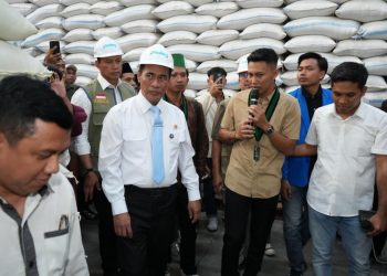 Hampir 5 Juta Ton, Mentan Pastikan Stok Beras Cukup Hadapi El Nino