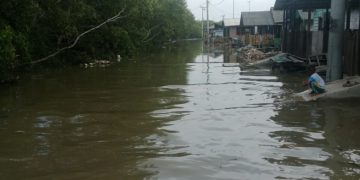 Banjir Rob Genangi Jalan Desa Bagankuala