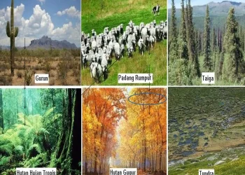 Pengenalan tentang Kalimantan: Budaya, Alam, dan Potensi Daerah