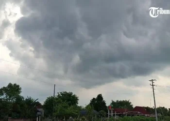 Prakiraan Cuaca Solo Hari Ini: Hujan Ringan Menghiasi Semua Kecamatan