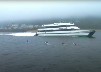 Ferry dan Pelayaran Diminta Waspada Gelombang Tinggi: Langkah Pencegahan dan Informasi Terkini