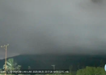 Level II, Gunung Lewotobi: 1 Gempa, 1 Letusan, 1 Hembusan