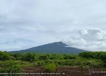 Gunung Lewotolok Lembata Gempa Hembusan 30 Kali, 3 Gempa Vulkanik Dangkal